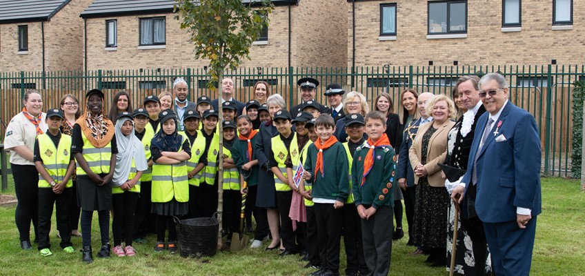 people gathered around tree