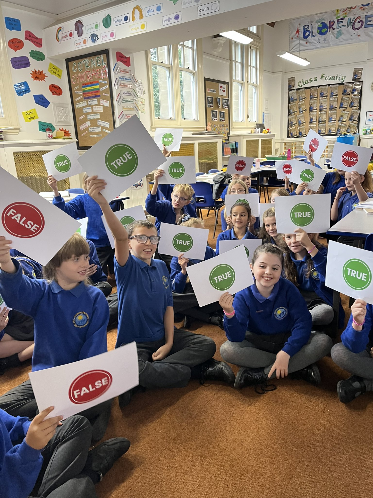 Children answering questions by holding up cards with a tick or cross on