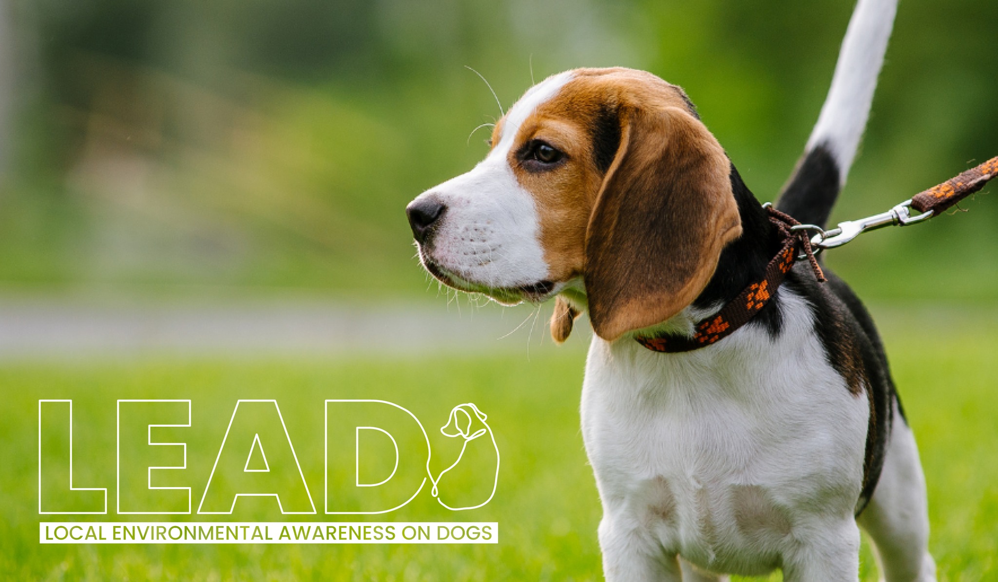 Llun o gi gyda'r geiriau 'Ymwybyddiaeth amgylcheddol lleol ar gŵn'